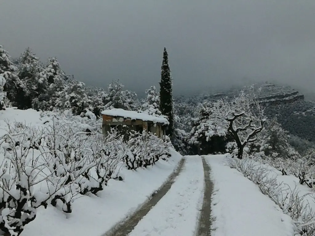ver nieve en tarragona