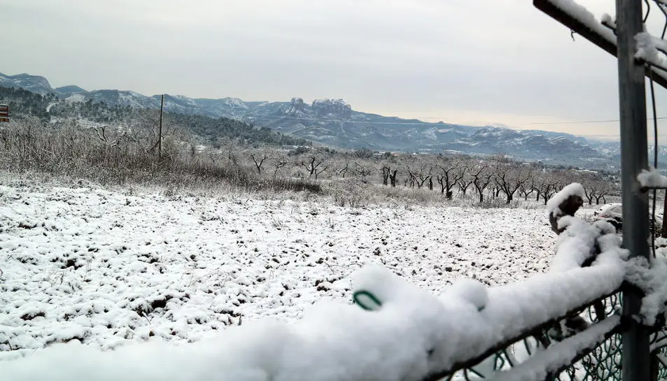 ver nieve en tarragona